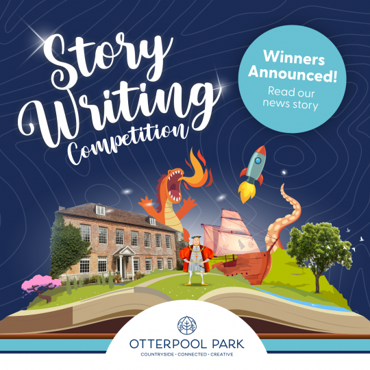 Short story about competition online