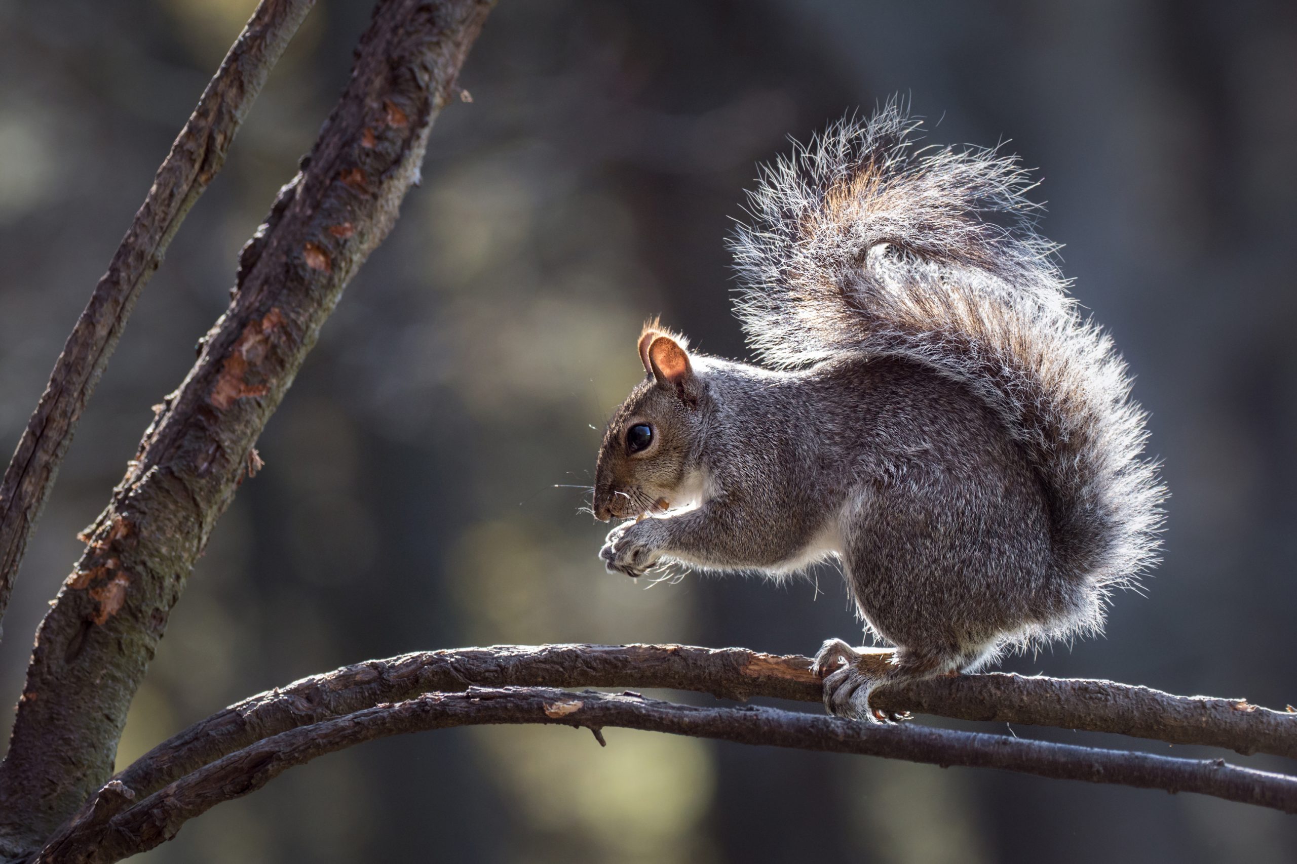 Looking after nature at Otterpool Park