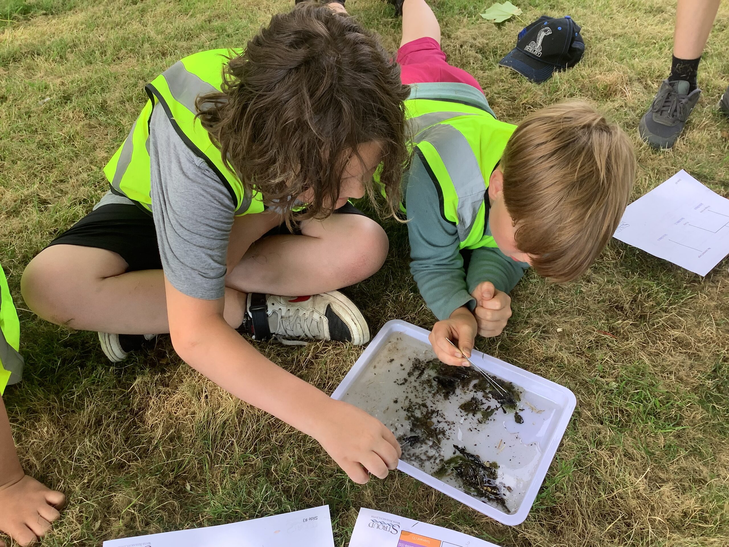 School students learn about nature conservation